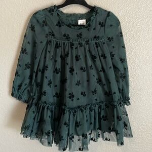 Baby GAP floral tulle dress